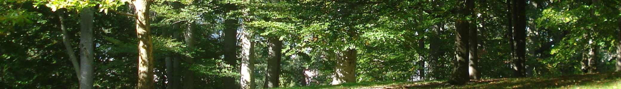 Advancedsleepmedicine